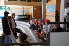 Patinoire-du-Sentier-1