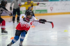 Patinoire-du-Sentier-10