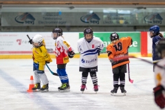 Patinoire-du-Sentier-11