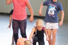 Patinoire-du-Sentier-111