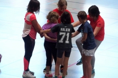 Patinoire-du-Sentier-114