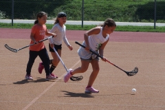 Patinoire-du-Sentier-126