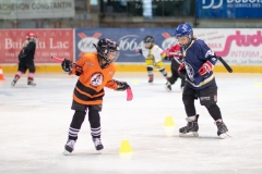 Patinoire-du-Sentier-14