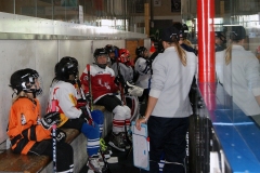Patinoire-du-Sentier-2