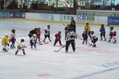 Patinoire-du-Sentier-24
