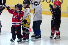 Patinoire-du-Sentier-26