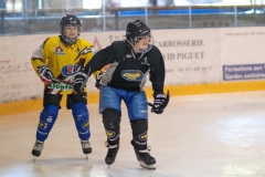 Patinoire-du-Sentier-38