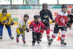 Patinoire-du-Sentier-41