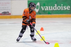 Patinoire-du-Sentier-49