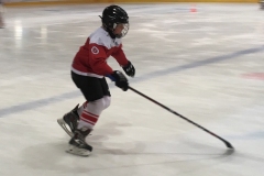 Patinoire-du-Sentier-5