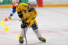 Patinoire-du-Sentier-51