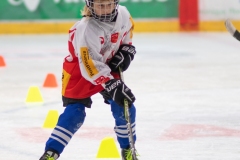Patinoire-du-Sentier-52