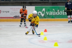 Patinoire-du-Sentier-53