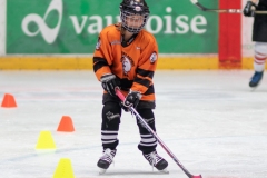 Patinoire-du-Sentier-54