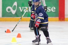 Patinoire-du-Sentier-56