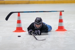 Patinoire-du-Sentier-57