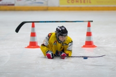 Patinoire-du-Sentier-58