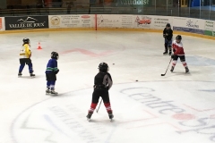 Patinoire-du-Sentier-60