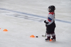 Patinoire-du-Sentier-65