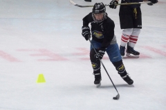 Patinoire-du-Sentier-67