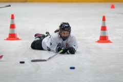 Patinoire-du-Sentier-72