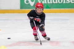 Patinoire-du-Sentier-75