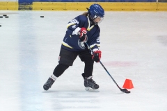 Patinoire-du-Sentier-77