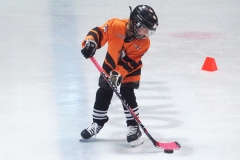 Patinoire-du-Sentier-78