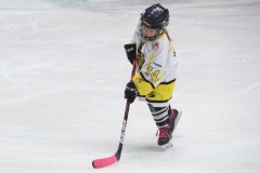 Patinoire-du-Sentier-79