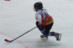 Patinoire-du-Sentier-80