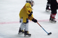 Patinoire-du-Sentier-81