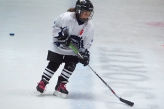 Patinoire-du-Sentier-82
