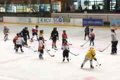 Patinoire-du-Sentier-83