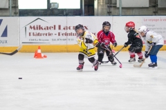 Patinoire-du-Sentier-84