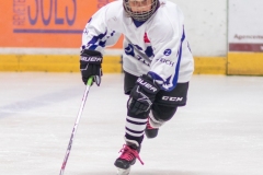 Patinoire-du-Sentier-89