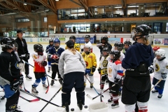 Patinoire-du-Sentier-96